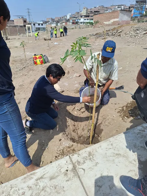 Jornada de arborización